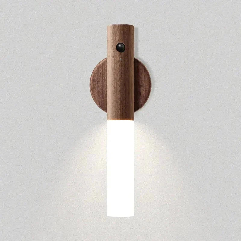 motion sensor light