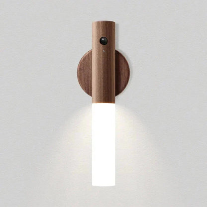 motion sensor light