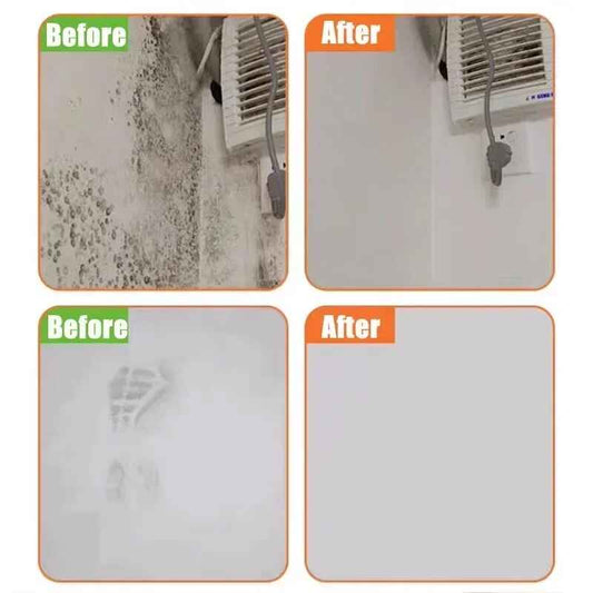 Wall paint for interior painting